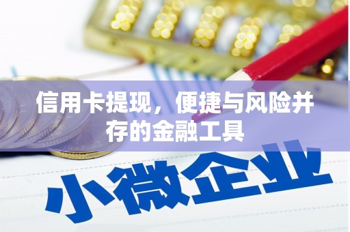 马龙信用卡提现，便捷与风险并存的金融工具