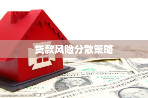 马龙贷款风险分散策略