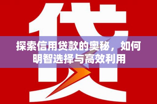 马龙探索信用贷款的奥秘，如何明智选择与高效利用