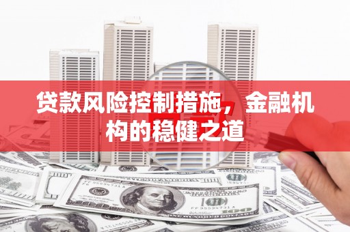 马龙贷款风险控制措施，金融机构的稳健之道