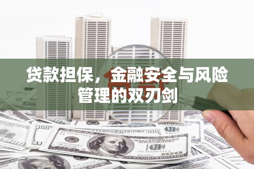 马龙贷款担保，金融安全与风险管理的双刃剑