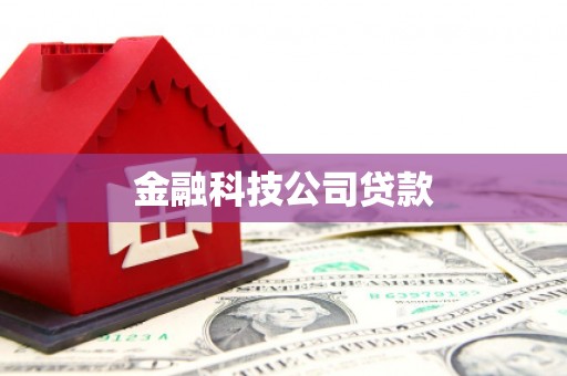 马龙金融科技公司贷款