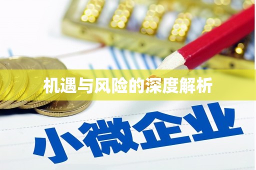 马龙机遇与风险的深度解析