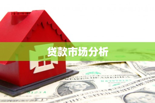 马龙贷款市场分析