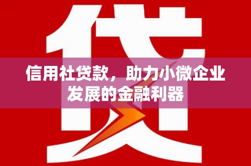 马龙信用社贷款，助力小微企业发展的金融利器