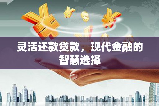 马龙灵活还款贷款，现代金融的智慧选择