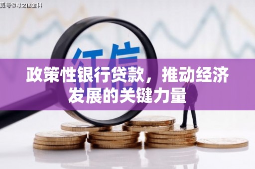 马龙政策性银行贷款，推动经济发展的关键力量