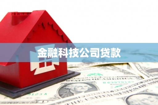 马龙金融科技公司贷款