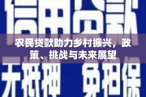 马龙农民贷款助力乡村振兴，政策、挑战与未来展望