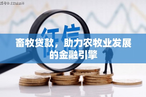 马龙畜牧贷款，助力农牧业发展的金融引擎