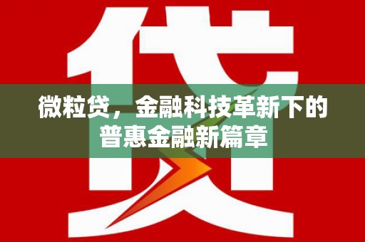 马龙微粒贷，金融科技革新下的普惠金融新篇章