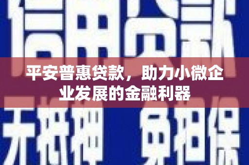 马龙平安普惠贷款，助力小微企业发展的金融利器