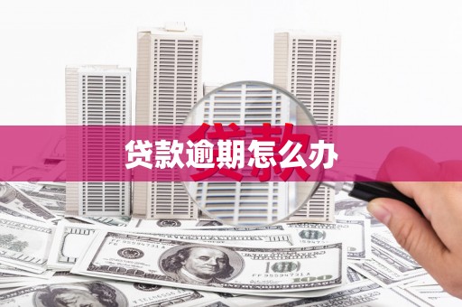马龙贷款逾期怎么办