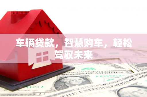 马龙车辆贷款，智慧购车，轻松驾驭未来