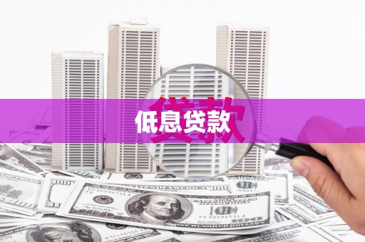 马龙低息贷款