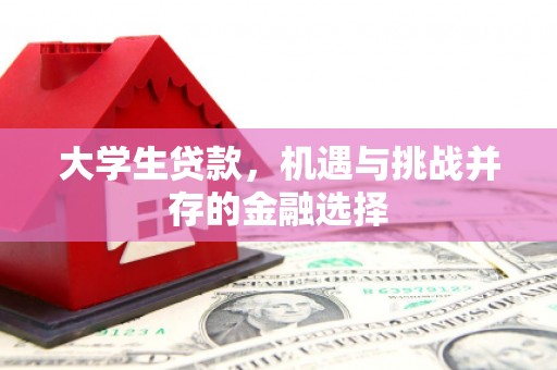 马龙大学生贷款，机遇与挑战并存的金融选择