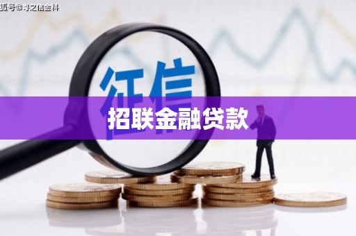 马龙招联金融贷款