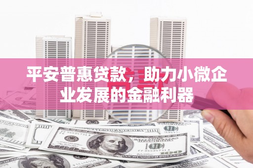 马龙平安普惠贷款，助力小微企业发展的金融利器