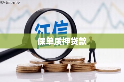 马龙保单质押贷款