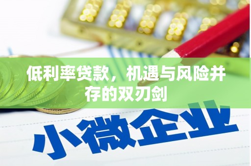 马龙低利率贷款，机遇与风险并存的双刃剑