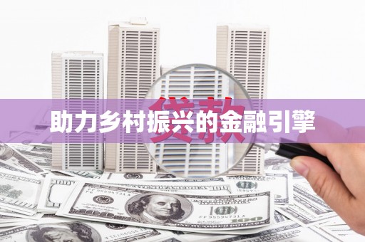 马龙助力乡村振兴的金融引擎