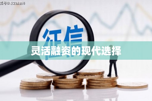 马龙灵活融资的现代选择