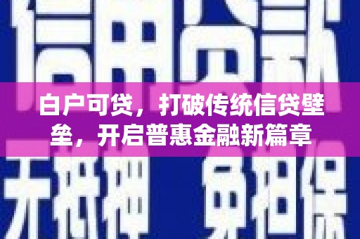 马龙白户可贷，打破传统信贷壁垒，开启普惠金融新篇章