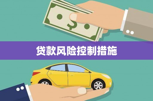 马龙贷款风险控制措施