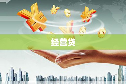 马龙经营贷