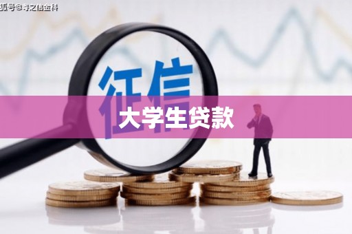 马龙大学生贷款